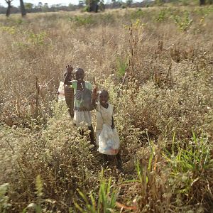 Zambia Communities