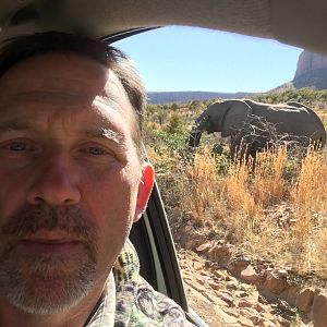 Elephant Selfie South Africa