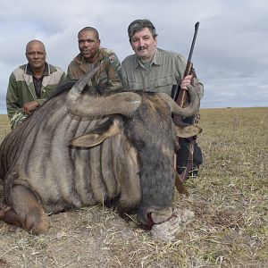 Hunting Blue Wildebeest in South Africa