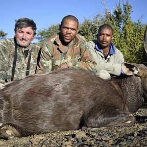 Bushbuck Hunting South Africa