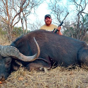 Hunt Cape Buffalo in South Africa