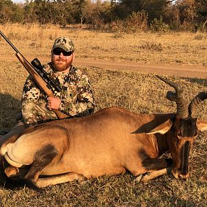 South Africa Hunting Red Hartebeest