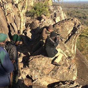 Glassing Game & Hunting Zimbabwe