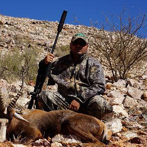 Hunt Blesbok in South Africa