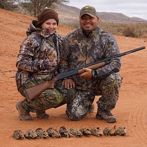 Sandgrouse Hunting South Africa