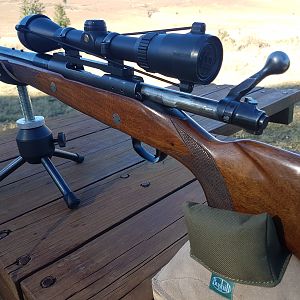 Pre64 in 375 Rifle