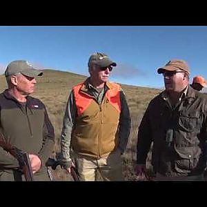 Greywing partridge and Yellow-Billed Duck hunting in Africa