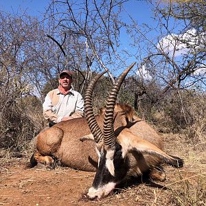 26 ¼” Inch Roan Hunt South Africa