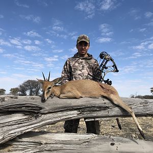 Namibia Bow Hunting Duiker