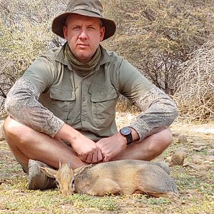 Damara Dik Dik Hunting Namibia