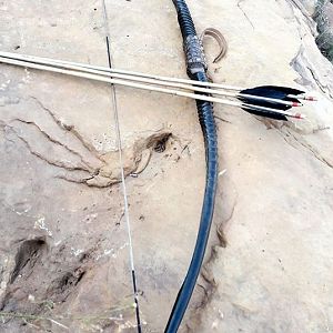 Gemsbok Horn Primitive Bow