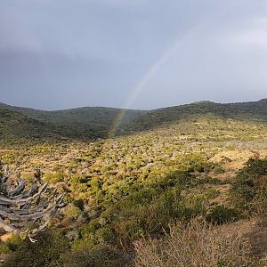 Blessed with some much needed Rain