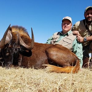 South Africa Hunt Black WIldebeest