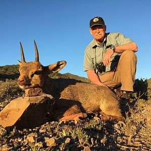 Klipspringer Hunting South Africa