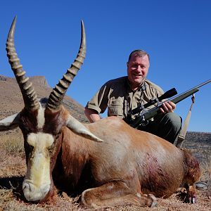 Blesbok