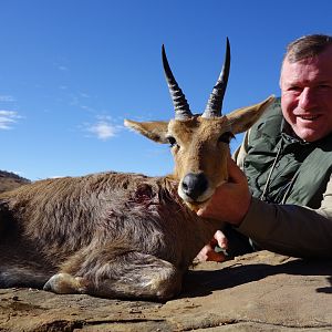 Mountain Reedbuck