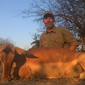 Hunt Impala Female in Zimbabwe