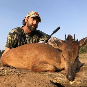 Red Duiker Hunting South Africa