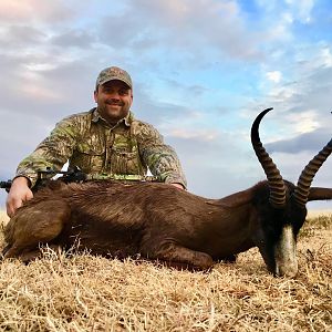 South Africa Bow Hunt Black Springbok