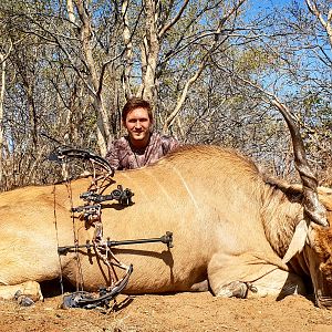 Botswana Bow Hunting Eland