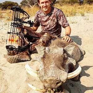 Warthog Bow Hunting Botswana