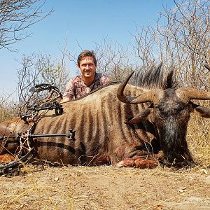 Bow Hunt Blue Wildebeest in Botswana