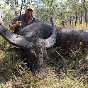 Hunting Asiatic Water Buffalo Australia