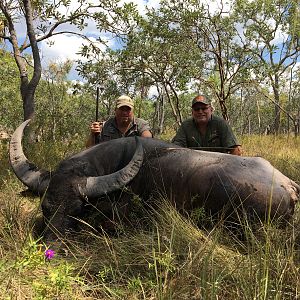 Asiatic Water Buffalo Hunt in Australia