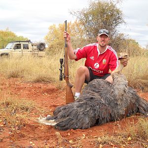 Ostrich Hunting