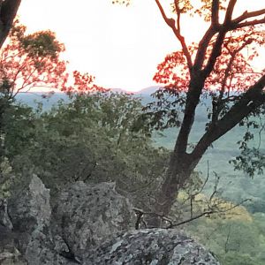 Zimbabwe Landscape