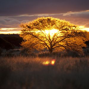 Sunset South Africa