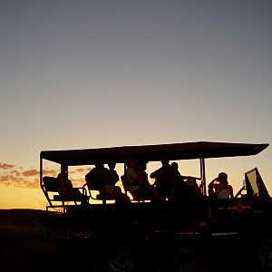 Sundowner Game Drive South Africa