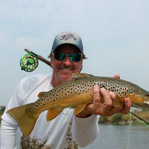 Western Montana Fishing Clark Fork Brown Trout