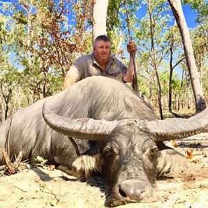 Hunt Asiatic Water Buffalo Australia