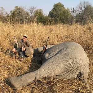 Tuskless Elephant Hunt Zimbabwe