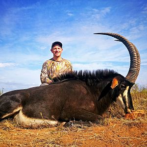 Sable Antelope Hunt South Africa