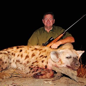 Spotted Hyena Hunt in South Africa