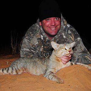 African Wildcat Hunt South Africa