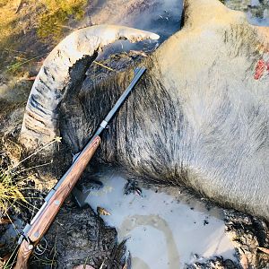 Australia Hunt Asiatic Water Buffalo