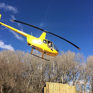 Managing the wildlife with helicopter