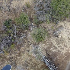 Place where the rhino tore through the fence