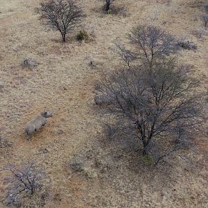 View of Rhino from helicopter