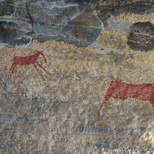 Rare rock paintings at untouched paleolithic site