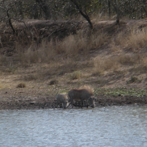 While fishing at the pond