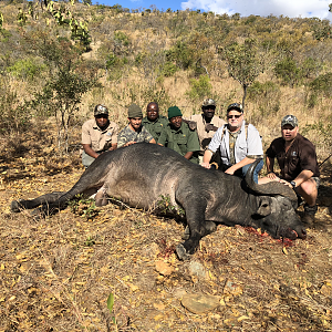 South Africa Hunt Cape Buffalo