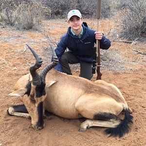 Hunting Red Hartebeest in South Africa