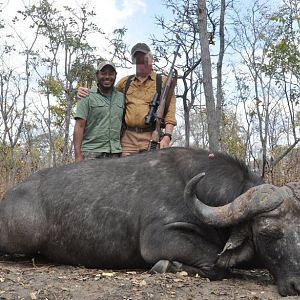 Cape Buffalo Hunting Tanzania