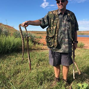 Rattle Snake Hunting