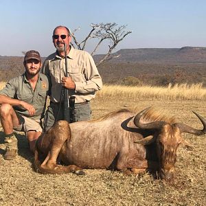 Hunt Golden Wildebeest South Africa