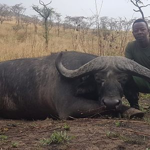 Tanzania Hunting Cape Buffalo